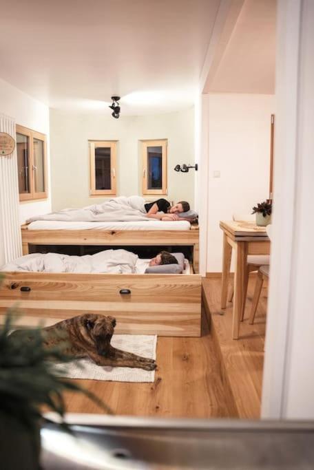 Willa Wohnwagon Paul - Autarkie Erleben! - Tiny House Oberschneiding Zewnętrze zdjęcie